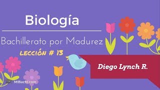 Lección 13  Biología  Bachillerato por Madurez [upl. by Bealle]