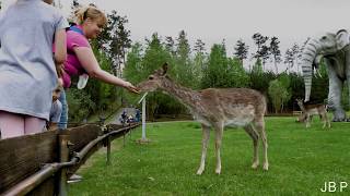 Tier und Freizeitpark Germendorf Tierpark 4K [upl. by Mireille251]