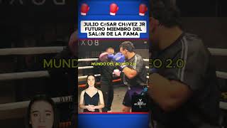 Julio Cesar Chévez JR futuro miembro del salón de la fama boxeo boxing box [upl. by Zellner802]