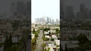 Tall palm trees and beautiful skyline LA Credit 🎥 zaidshaat greencard losangeles california [upl. by Adelaida]