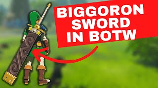 How To Get Biggoron Sword In Breath Of The Wild [upl. by Lebam]