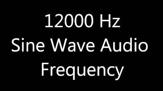 12000 Hz 12 kHz Sine Wave Sound Frequency Tone [upl. by Den488]