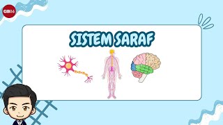 Sistem Saraf  Materi IPAS Kelas 6 Kurikulum Merdeka [upl. by Cyn]