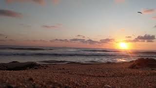 Atlantean Sunrise  harmonic series guitar improvisation by the ocean [upl. by Nehtanhoj226]