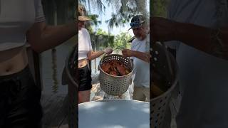 Louisiana crab boil in 1 minute shorts crab seafood louisiana [upl. by Asquith]