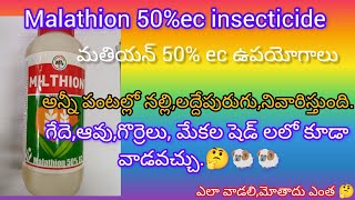 malathion insecticide టమాటోబెండచిక్కుడునిమ్మ వంటి అన్ని రకాల పంటల్లోవాడవచ్చుషెడ్ లలోవాడవచ్చు [upl. by Dduj154]