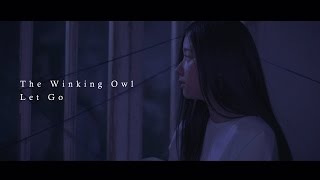 The Winking Owl  Let Go Official Music Video [upl. by Jasmin]