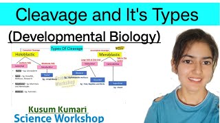 Cleavage and Its Types  Cleavage Pattern Developmental Biology  BSc  By Kusum  Science Workshop [upl. by Lorelei]