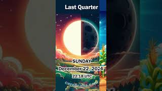 Lunar Calendar December 2024 shorts [upl. by Edwyna]