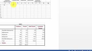 SPSS Betimsel Analiz Frekans Yüzde Ortalama ve Standart Sapma [upl. by Roxana]