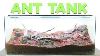 Sand ant farm V20  ants digging tunnels time lapse 4k greentimelapse gtl timelapse [upl. by Eytteb]