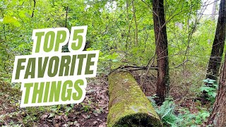 Top 5 Favorites Things about Jacobsburg State Park [upl. by Gladi497]