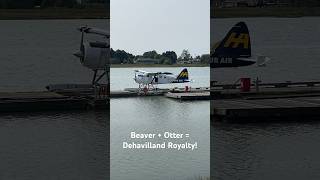 Seaplane Living  Harbour Air Vancouver International Airport [upl. by Sidwell]