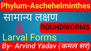 Aschehelminthes class 11Phylum aschehelminthes  Round worms general characters amp Larval forms [upl. by Adnorehs]