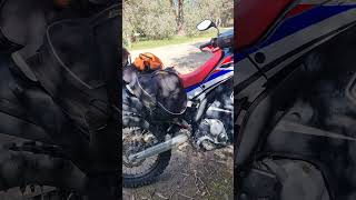 CRF250 Rally REVIEW 53000km 7 years Ownership [upl. by Bromleigh]