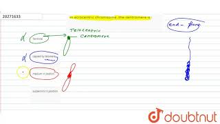 In acrocentric chromsome the centromere is [upl. by Swanson797]