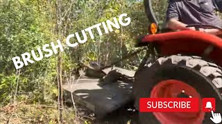 Land clearing with a Kubota L2502 and a Bush HogBrush Cutter ￼ [upl. by Percival]