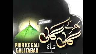 Phir ke Gali Gali Tabah Thoukrein Sb Ki Khaen Kyou  Sharik Raza Qadri  2024 [upl. by Bamford]