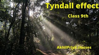 tyndall effect class 9th [upl. by Shanan]