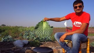 Indian Food Cooking Outdoor in a Village  One Pot Meal [upl. by Fleur]