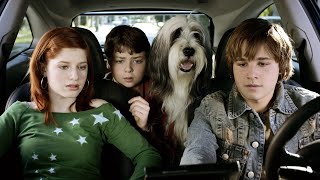 The Shaggy Dog Full Movies Facts amp Review in English  Tim Allen  Robert Downey Jr [upl. by Horn]