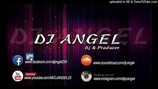 DJ ANGEL  Fevicol Se  Dabangg 2 SEGA MIX [upl. by Ayana]