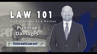 Punitive Damages  Law 101  Bachus amp Schanker [upl. by Adnawaj155]