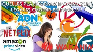 Quelles plateformes danime VOD légales choisir en France  Wakanim ADN Crunchyroll Netflix [upl. by Acyssej651]