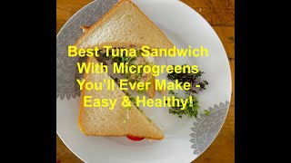 Tuna sandwich With Microgreens  Super Easy amp Healthy [upl. by Camp210]