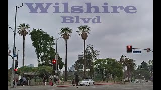 Wilshire Blvd  Los Angeles Driving Tour [upl. by Ailimat114]