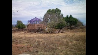 Corrido de María Alvarez de Los Ranchitos Tlaltenango Zacatecas [upl. by Christel73]