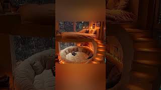 Which bedroom would you visit in a dream 🛌🌧️ aesthetic aurorarelaxing vibes asmr viral [upl. by Olrak]