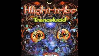 Hilight tribe  Shankara Biogenetic Rmx [upl. by Nnyletak]