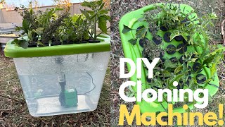 How to make a DIY Propagation Station at Home Easy [upl. by Suki]