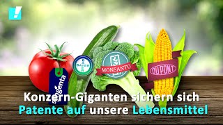 Monsanto greift nach dem Leben  jetzt unterzeichnen [upl. by Lebam]