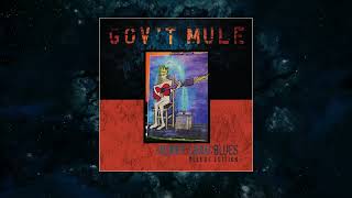 Govt Mule  Hiding Place Visualizer Video [upl. by Enidanreb]