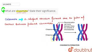 What are chiasmata State their significance  11  CELL CYCLE AND CELL DIVISION  BIOLOGY  P [upl. by Animrac]