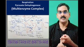 The Citric Acid Cycle Part II  Production of Acetyl CoA [upl. by Naashom]