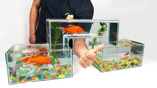 How to Make Unique Multi Level Glass Aquarium at Home [upl. by Notseh853]