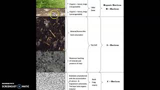 CHERNOZEM SOILS [upl. by Leirraj]