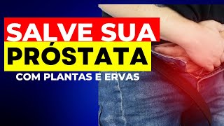 Descubra as Ervas Milagrosas que Salvam sua Próstata  Previna e Reduza Doenças da PRÓSTATA [upl. by Ahseem215]