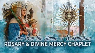 LIVE  Divine Mercy Chaplet and Rosary  7th October 2024 [upl. by Nuncia]