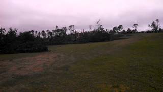 Bessemer  Alabama tornado hit frank house golf c [upl. by Levan]