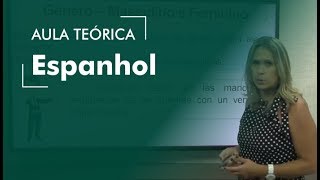 AULA TEÓRICA Espanhol Artigos e Substantivos  Concursos Veterinários Aula 0305 [upl. by Ardnassac]