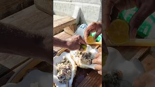 Eating Giant Clams RAW For Lunch🇫🇯 [upl. by Warchaw]