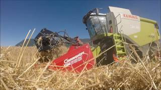 GOPRO La moisson 2016 [upl. by Lenka430]