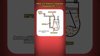 What is a Positive Crankcase Ventilation PCV [upl. by Lhary]