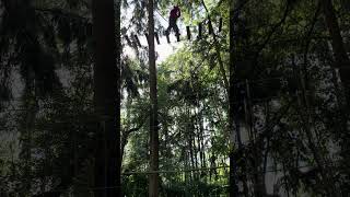 Treetop adventure obstacles Brave girl 🧒 [upl. by Ameehs]