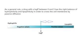 Partition coefficients [upl. by Edialeda]