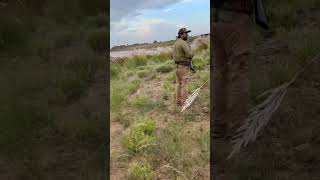 🚫 No fly zone on the left Quail Down uplandhunting wingshooting [upl. by Eluk]